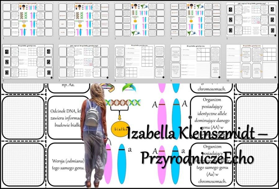 Notatka okienkowa/stacja zadaniowe/notatka/notatka graficzna/karta pracy/sketchnotka „Podstawowe prawa dziedziczenia”, „Krzyżówki genetyczne”, „Podstawowe pojęcia genetyki” w pdf. Biologia 8 dział „Genetyka”. Materiał wykonany na podstawie podręcznika z 