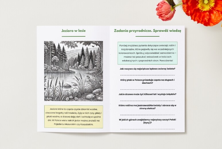 Karty do kolorowania z motywami przyrodniczymi (zwierzęta, rośliny, krajobrazy).