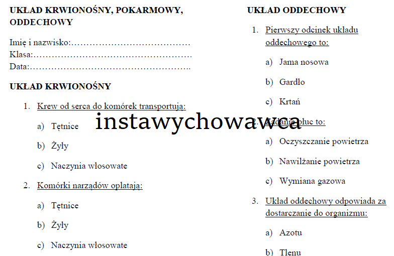 Układ krwionośny, oddechowy, pokarmowy