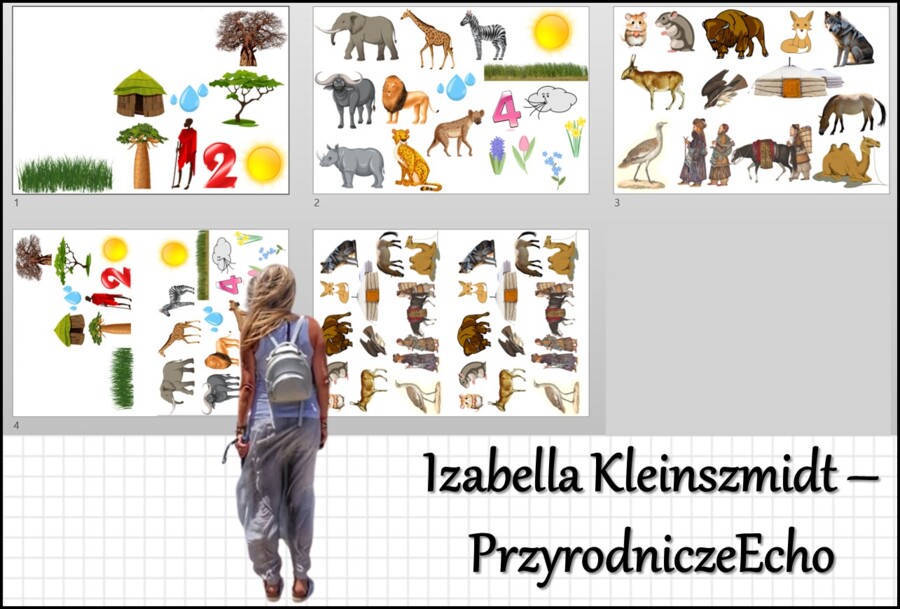 Materiał do wycięcia/wycinanka do notatki „W krajobrazach trawiastych sawanny i stepu” w pdf. Geografia 5, dział „Krajobrazy świata”.