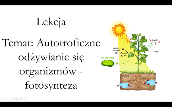 Klasa 1 ( rozszerzenie) - Fotosynteza i Chemosynteza - preznetacja