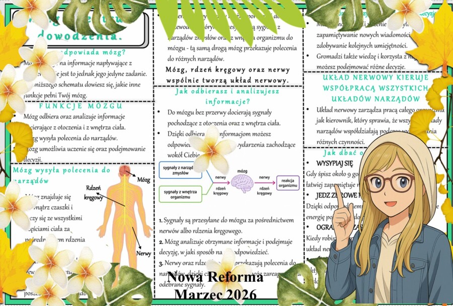 Sketchnotka/notatka - dla ucznia i przypomnienie dla nauczyciela w pdf. Temat "Mózg - centrum dowodzenia". Przyroda 4. "Odkrywam przyrodę" zgodna z wydawnictwem Nowa Era. Dział "Jak działa moje ciało?".