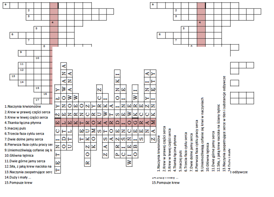 Logogryf dla klasy 7 na podsumowanie lekcji o budowie serca
