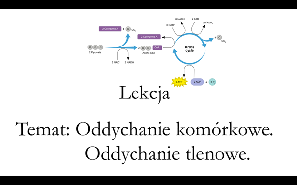 Klasa 1 (rozszerzenie) - Oddychanie komórkowe. Oddychanie tlenowe - prezentacja
