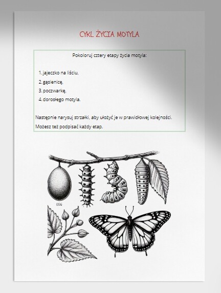 Łamigłówki i kolorowanki. Cykl życia roślin i zwierząt. Elementy krajobrazu. Połącz w pary.