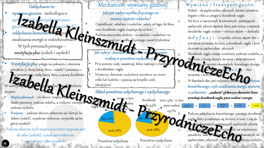 Sketchnotka - notatka „Mechanizm wymiany gazowej” wykonana w power point do edycji. Biologia 7; „Układ oddechowy”