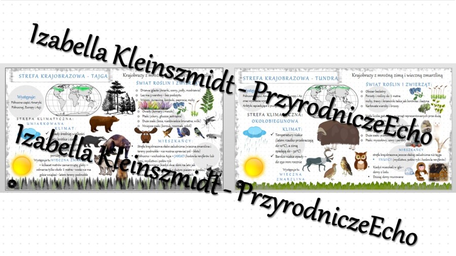 Sketchnotka - notatka „Krajobraz tajgi i tundry” wykonana w power point do edycji. Geografia 5; „Krajobrazy świata”