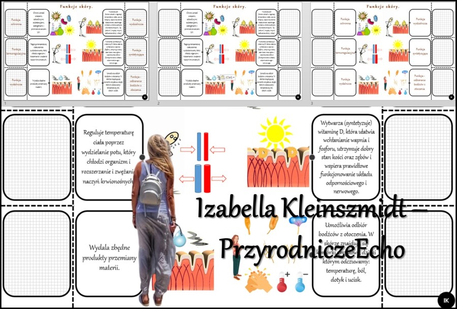 Notatka okienkowa/stacja zadaniowe/notatka/notatka graficzna/karta pracy/sketchnotka „Funkcje skóry człowieka”, „Budowa i funkcje skóry” w pdf. Biologia 7 dział „Organizm człowieka. Skóra - powłoka organizmu”. Materiał wykonany na podstawie podręcznika z