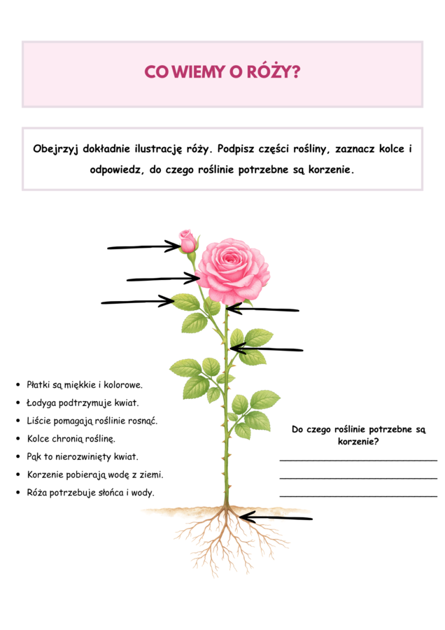 Róża i Jagoda – karty pracy dla dzieci | Czytanie, pisanie i prace plastyczne