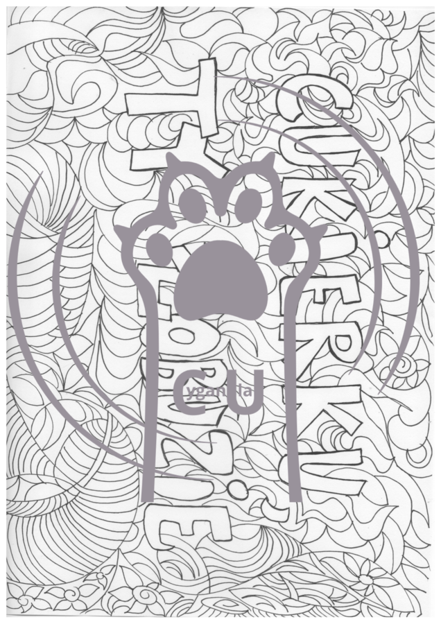 Karty Pracy z odpowiedziami do lektury „Cukierku, ty łobuzie!” Waldemara Cichonia