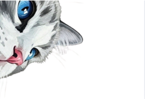 Wyjątkowa gazetka na dzień kota| W zestawie 2 plakaty 4 x A4| Kolorowa dekoracja klasy lub korytarza