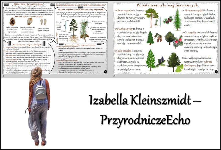 Zestaw sketchnotek/notatek/streszczeń/wklejek/ściąg dla ucznia i nauczyciela/edukacja domowa w pdf. Biologia 5 dział „Mchy. Paprotniki. Nagonasienne. Okrytonasienne”. Notatki zostały wykonane na podstawie podręcznika z wydawnictwa WSiP.