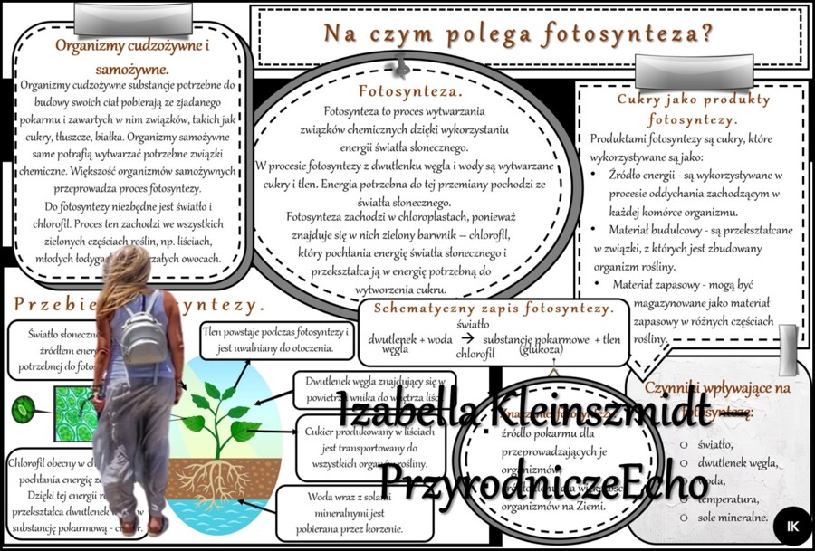 Zestaw sketchnotek/notatek/streszczeń/wklejek/ściąg dla ucznia i nauczyciela w pdf. Biologia 5 dział „Organizacja i chemizacja życia”. Notatki zostały wykonane na podstawie podręcznika z wydawnictwa WSiP.