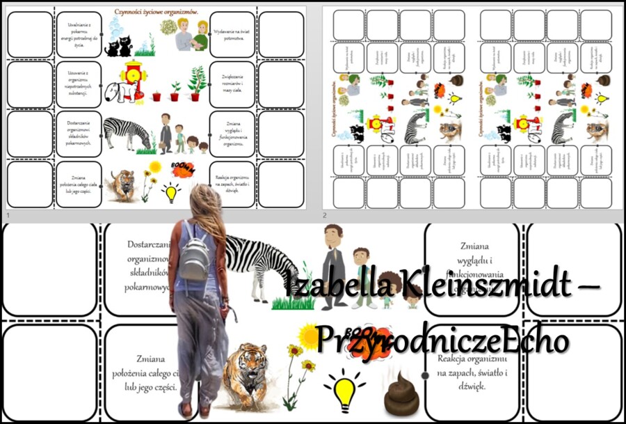 Notatka okienkowa/stacja zadaniowe/notatka/notatka graficzna/karta pracy/sketchnotka „Czynności życiowe organizmów”, „Biologia jako nauka” w pdf. Biologia 5 dział „Biologia – nauka o życiu”. Materiał wykonany na podstawie podręcznika z wydawnictwa Nowa E