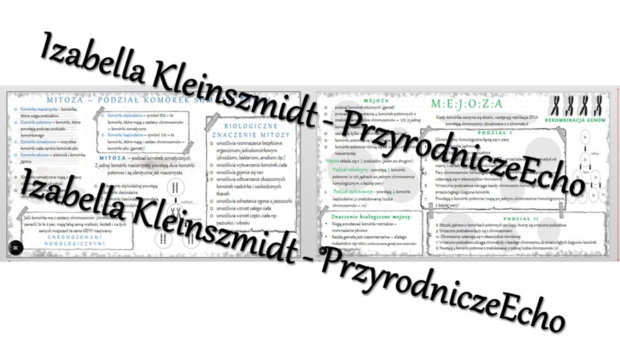 Sketchnotka - notatka „Podziały komórkowe – mitoza i mejoza” wykonana w power point do edycji. Biologia 8; „GENETYKA”