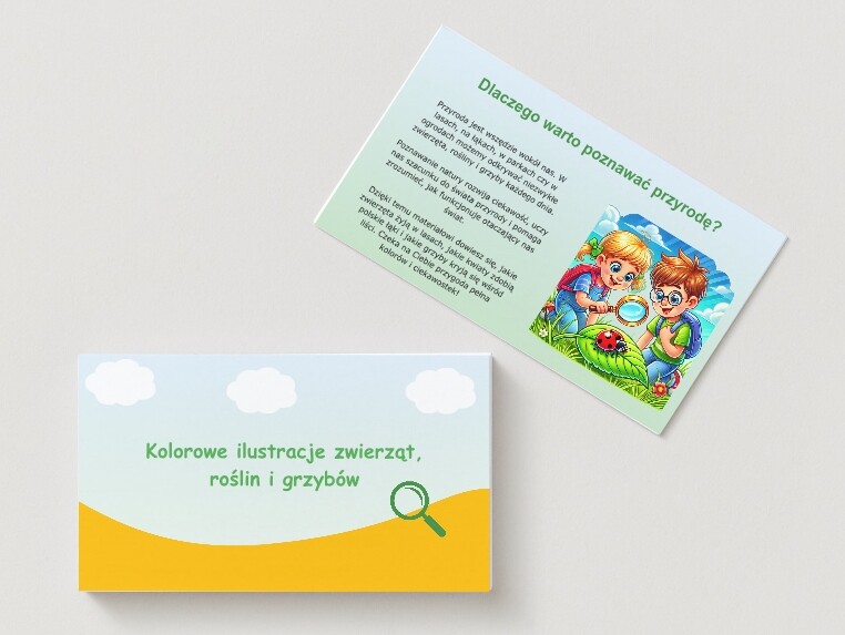 Kolorowe ilustracje zwierząt, roślin i grzybów