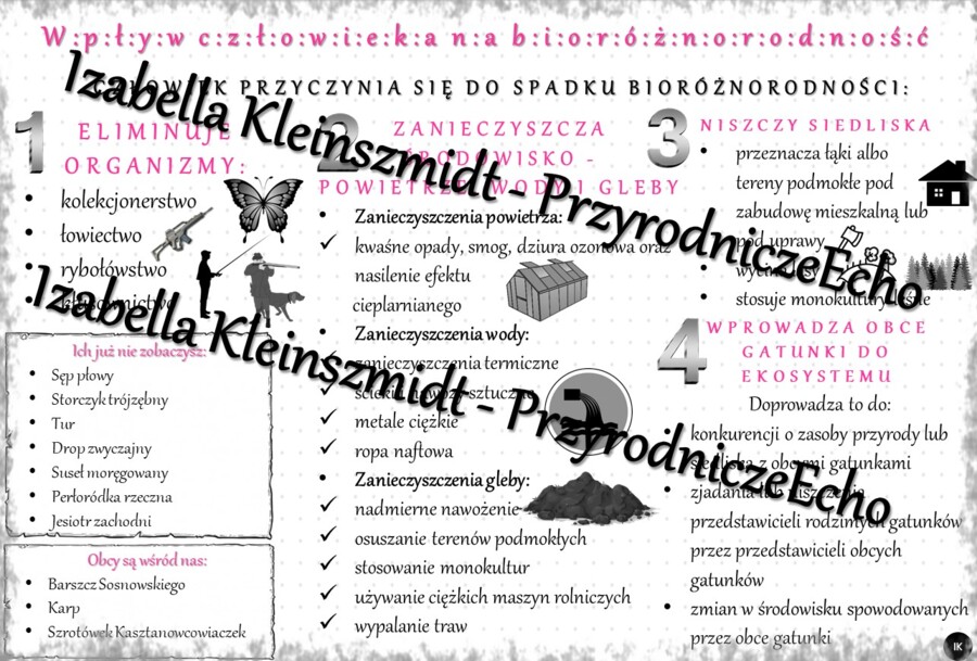 Sketchnotka - notatka „Wpływ człowieka na różnorodność biologiczną” wykonana w power point do edycji. Biologia 8; „Człowiek i środowisko