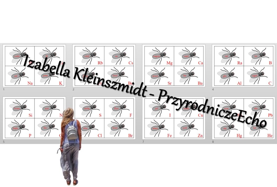 Muchy/protony/elektrony/powłoki elektronowe/elektrony walencyjne. Budowa pierwiastka chemicznego a jego położenie w układzie okresowym pierwiastków. Chemia 7