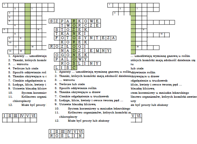 Logogryf na powtórzenie działu Rośliny i organy roślinne - klasa 5
