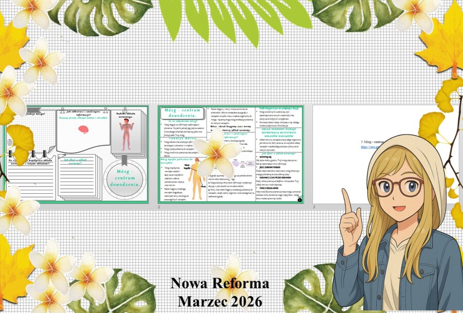 Mały zestaw na jedną lekcję: sketchnotka/notatka/przypomnienie dla nauczyciela, karta pracy plus prezentacja multimedialna „Mózg - centrum dowodzenia” w genial.ly. Przyroda "Odkrywam przyrodę". Klasa 4. Dział „Jak działa moje ciało?".