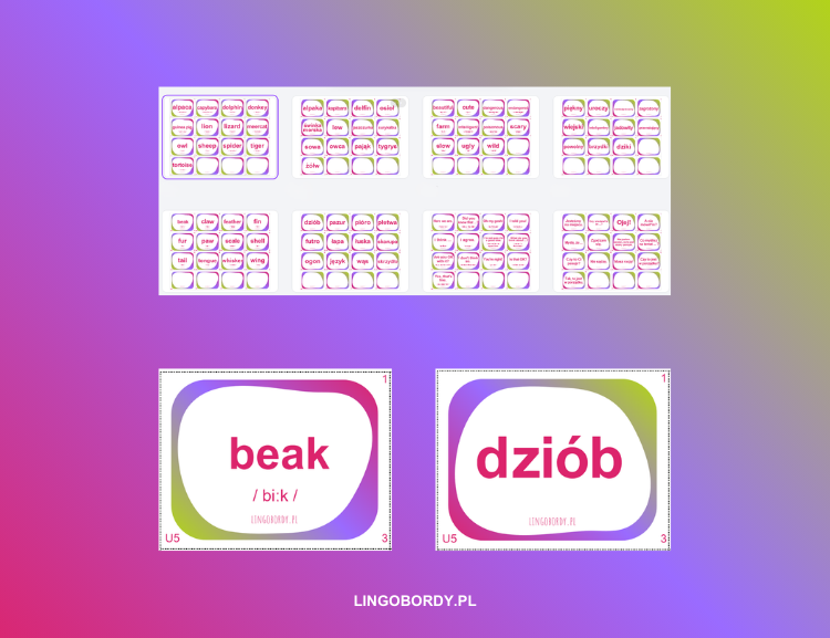 Together 5: Unit 5 – Kompletny Zestaw Kart Memory (98 kart!)