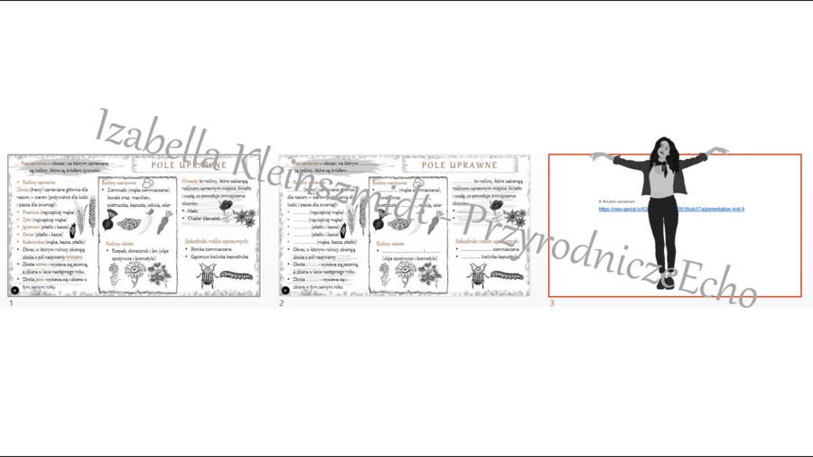 Mini zestaw do tematu „Na polu” - sketchnotka + karta pracy + gratisowy link do prezentacji multimedialnej niekomercyjnej wykonanej w genial.ly do indywidualnego pobrania i użycia do celów niekomercyjnych. Przyroda klasa 4, dział VIII „Odkrywamy tajemnic