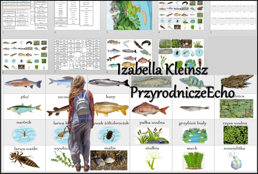 Materiał do zalaminowania/praca w grupach/stacje zadaniowe/układanka/puzzle „Z biegiem rzeki” w pdf. Przyroda, dział „Odkrywamy tajemnice życia w wodzie i na lądzie”.