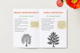 Kolorowanki z roślinami i zwierzętami. Gatunki ptaków, ssaków i drzew