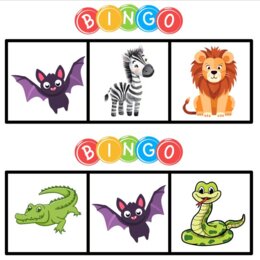 Incredible 2 unit 4 - memory, bingo