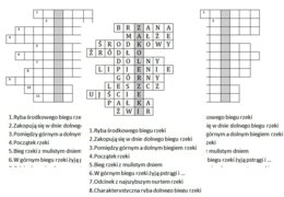 Logogryf dla klasy 4 na podsumowanie lekcji przyrody o rzece
