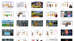 Prezentacja multimedialna w genial.ly „Płazińce-zwierzęta, które mają płaskie ciało” – do edycji i pobrania – biologia klasa VI, dział II – temat 2