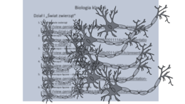 Zestaw 6 prezentacji w genial.ly z biologii do klasy VI. Dział I "Świat zwierząt" - według wydawnictwa Nowa Era