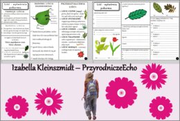 Minizestaw do tematu „Liść - wytwórnia pokarmu” – sketchnotka + karta pracy w pdf + gratisowy link do prezentacji multimedialnej niekomercyjnej wykonanej w genial.ly do indywidualnego pobrania i użycia do celów niekomercyjnych. Biologia 5, Dział „Tkanki 