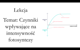 Klasa 1 (rozszerzenie) - Czynniki wpływające na intensywność fotosyntezy. - prezentacja