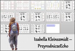 Notatka okienkowa/stacja zadaniowe/notatka interaktywna/notatka graficzna/karta pracy/sketchnotka „Szerokość i długość geograficzna”, „Współrzędne geograficzne” w pdf. Geografia 6 , dział „Współrzędne geograficzne”. Materiał wykonany na podstawie podręcz