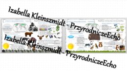 Sketchnotka - notatka „Krajobraz tajgi i tundry” wykonana w power point do edycji. Geografia 5; „Krajobrazy świata”