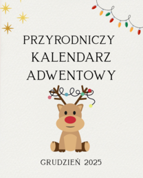 Przyrodniczy kalendarz adwentowy klasy 4-8