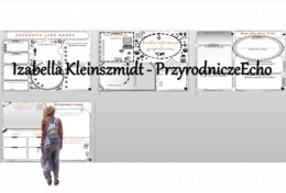 Zestaw kart pracy do działu „Obraz Ziemi”. Karty pracy wykonane w power point – można edytować.. Oblicza geografii I, poziom podstawowy, dla liceum ogólnokształcącego i technikum. Geografia I.