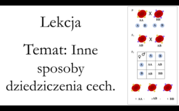 Klasa 3 ( podstawa) - Inne sposoby dziedziczenia - prezentacja