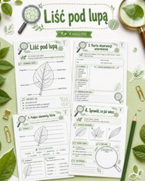 Liść pod lupą