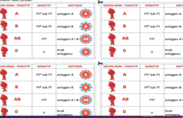Wklejka do zeszytu - grupy krwi