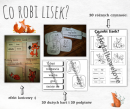 Co robi lisek? Wprowadzamy czasowniki