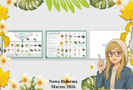 Mały zestaw na jedną lekcję: sketchnotka/notatka/przypomnienie dla nauczyciela, karta pracy plus prezentacja multimedialna „Życie w lesie” w genial.ly. Przyroda "Odkrywam przyrodę". Klasa 4. Dział „Życie na lądzie".