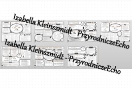 Zestaw sketchnotek – notatek do całego działu „Pochodne węglowodorów” - wykonanych w power point do edycji. Chemia 8