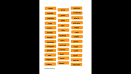 Zestaw „Logopedyczne domy” - utrwalanie głosek