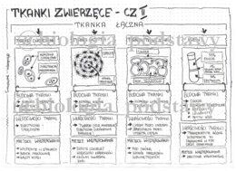 Klasa 6 - Tkanka łączna - sketchnotka