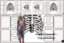 Notatka okienkowa/stacja zadaniowe/notatka interaktywna/notatka graficzna/karta pracy/sketchnotka „Budowa klatki piersiowej”, „Klatka piersiowa” w pdf. „Budowa szkieletu osiowego”. Biologia 7, dział „Aparat ruchu”. Materiał wykonany na podstawie podręczn