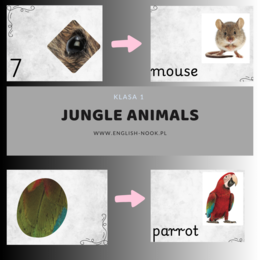Jungle animals - zgadnij po fragmencie - zwierzęta w dżungli