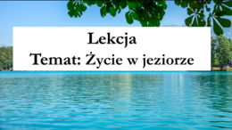 Klasa 4 - Życie w jeziorze - prezentacja