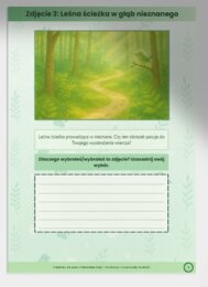 Materiały ilustracyjne – „Które zdjęcie pasuje do wiersza?”. Zdjęcia lasów/ścieżki